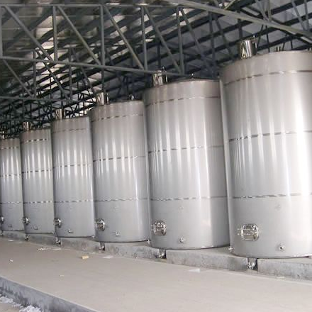Multifunctional stainless steel fermentor